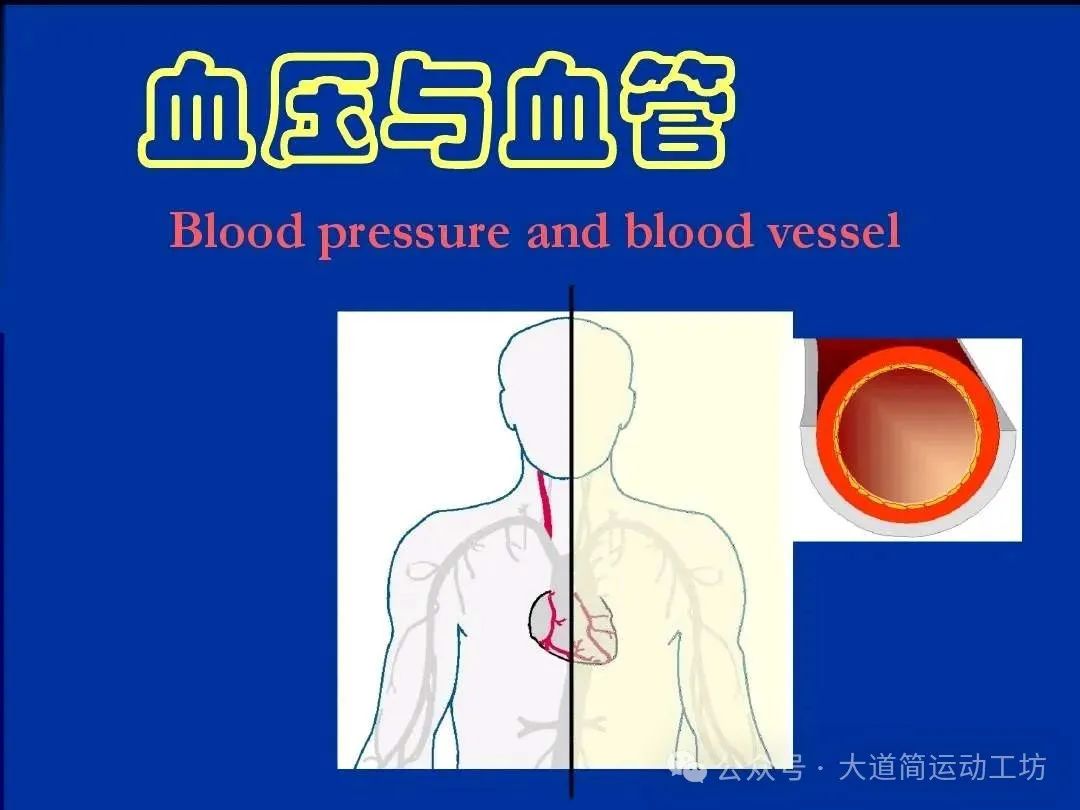 运动疲劳_疲劳运动能减肥吗_疲劳运动对身体怎样
