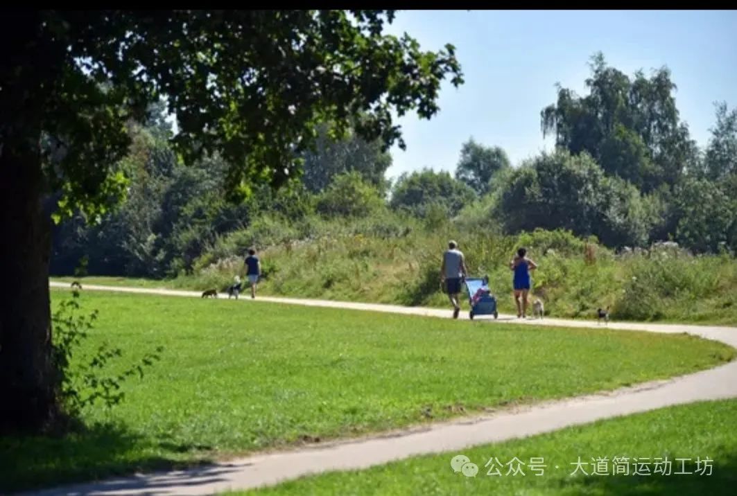 疲劳运动能减肥吗_运动疲劳_疲劳运动对身体怎样